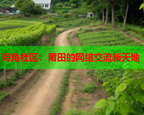 海角社区：莆田的网络交流新天地